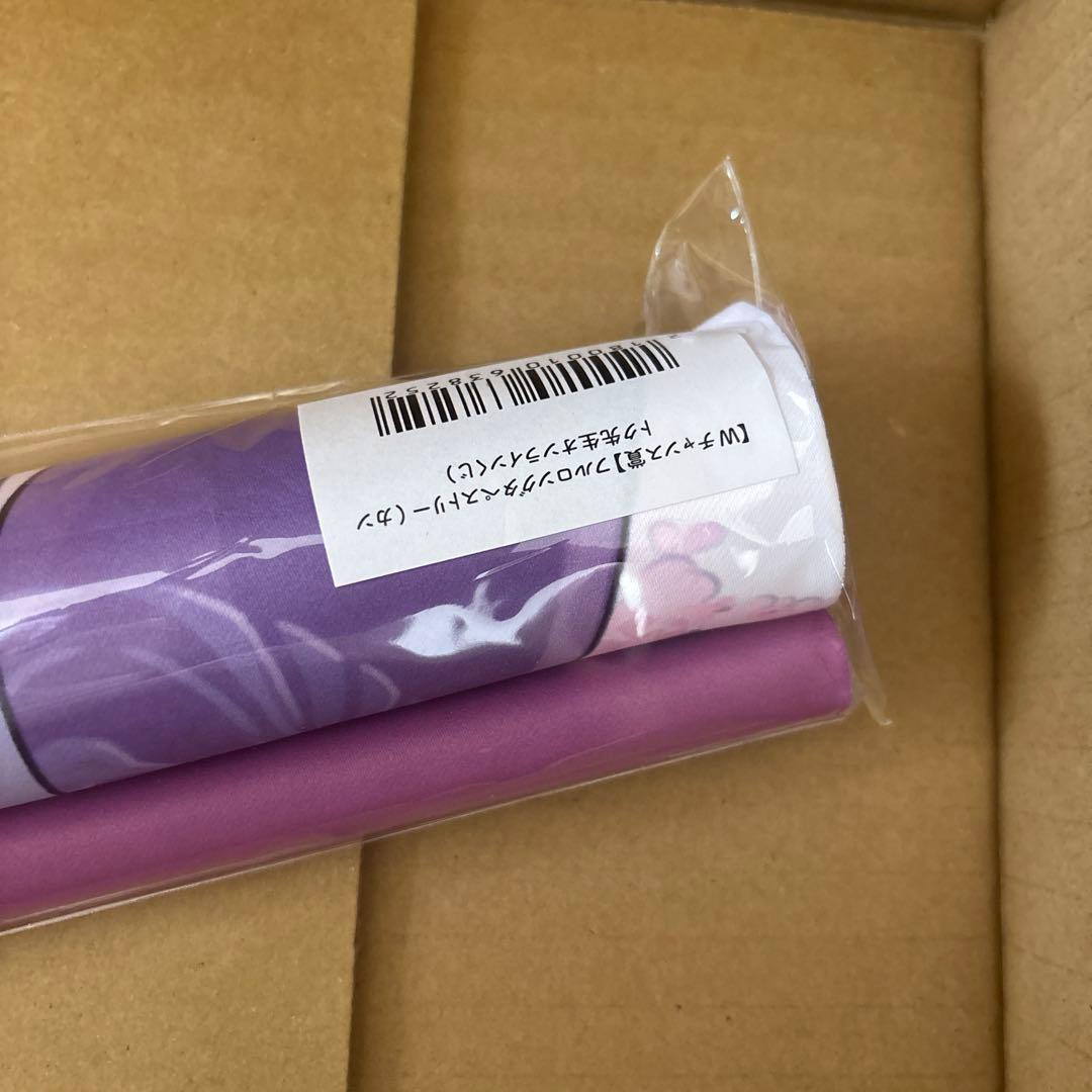 限定特価【Wチャンス賞】フルロングタペストリー(カントク先生オンラインくじ)