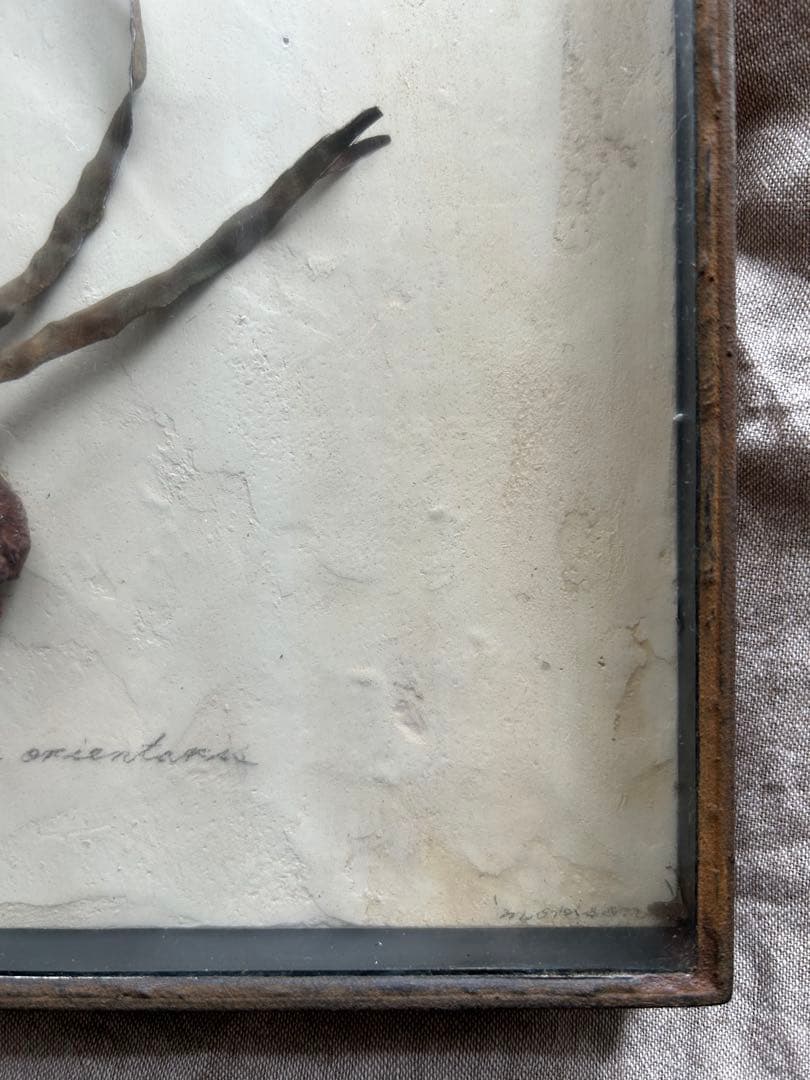 モリソン小林 special source 鉄の草花アート作品 idee - メルカリ