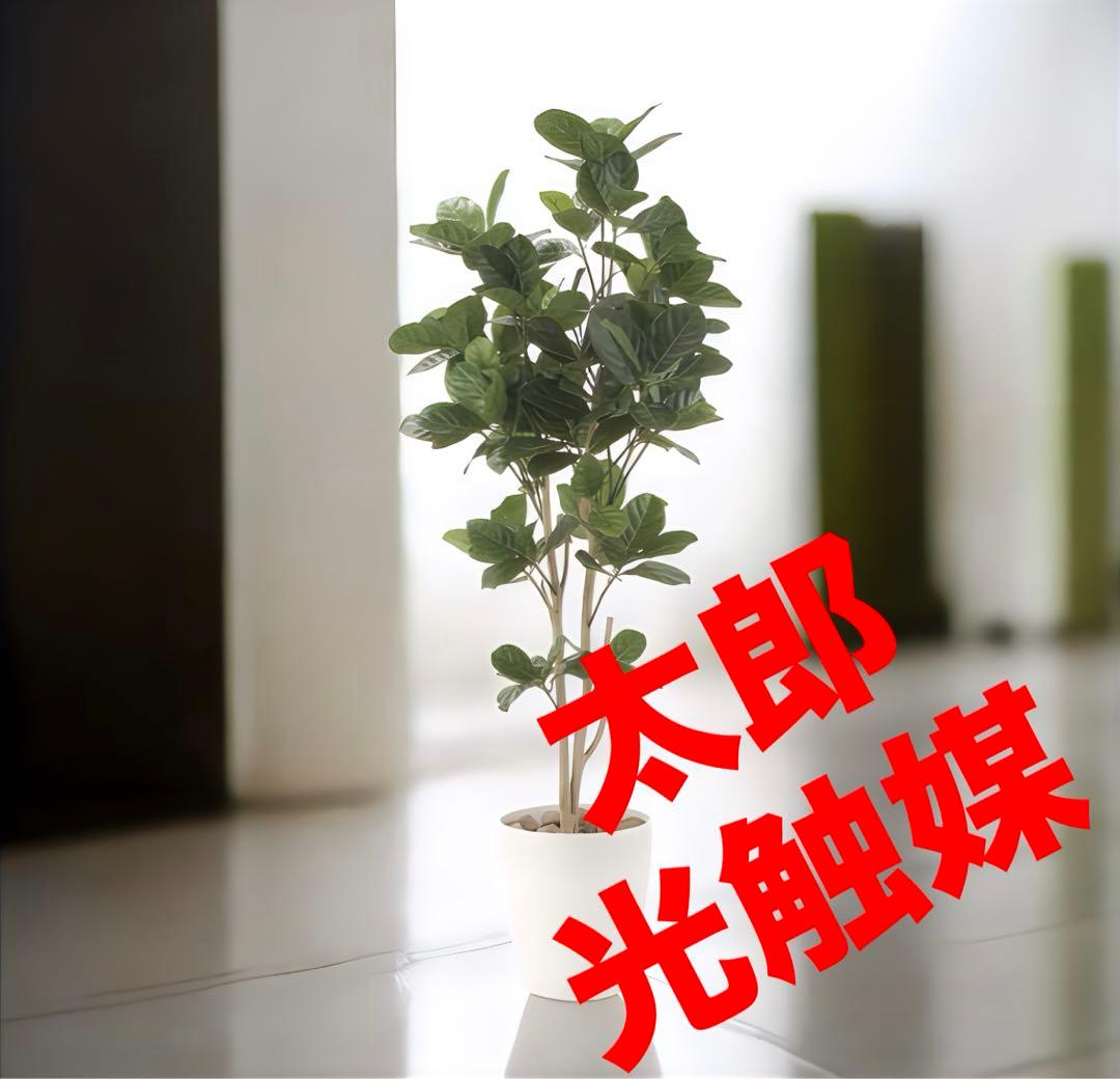 光触媒 人工観葉植物 ウォールグリーン フェイクグリーン 壁掛け