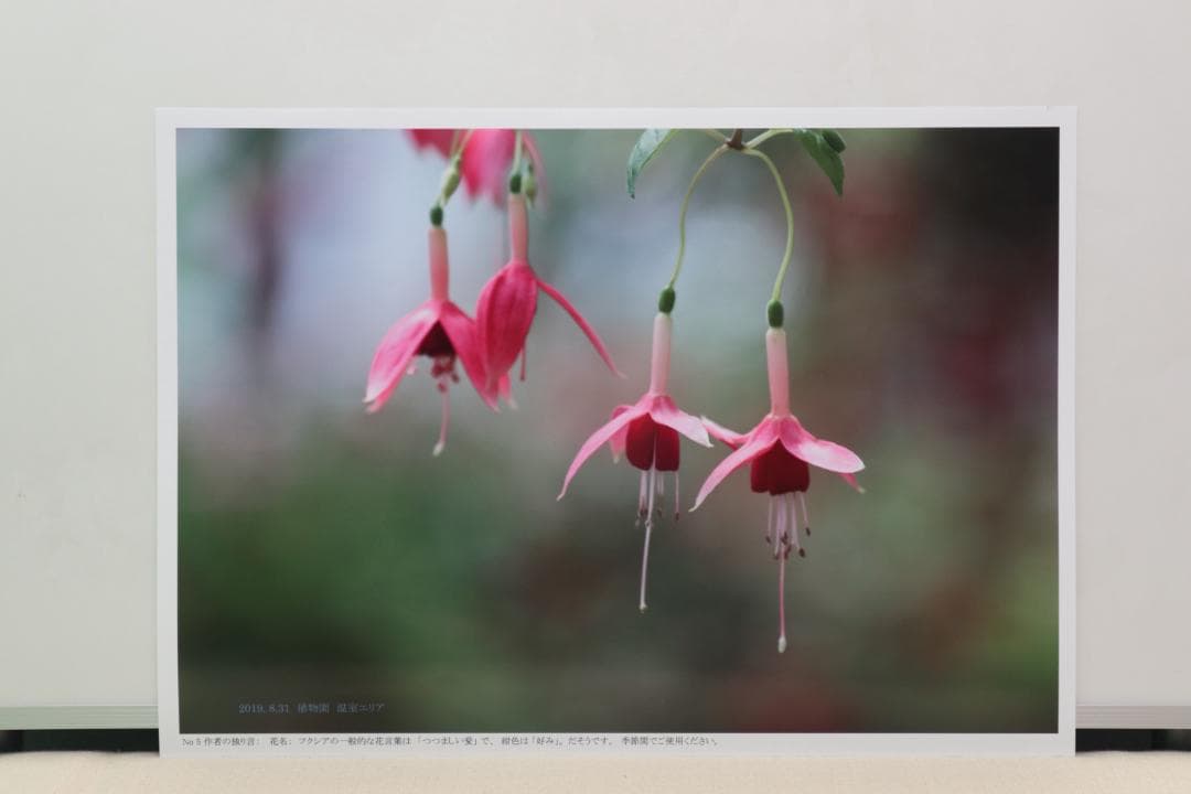 インテリア用写真