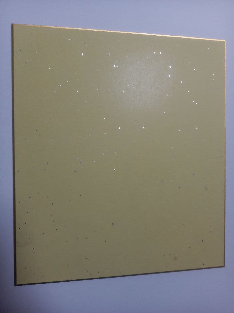 血と灰の女王 直筆 描き下ろしサイン 色紙 佐神善 - メルカリ