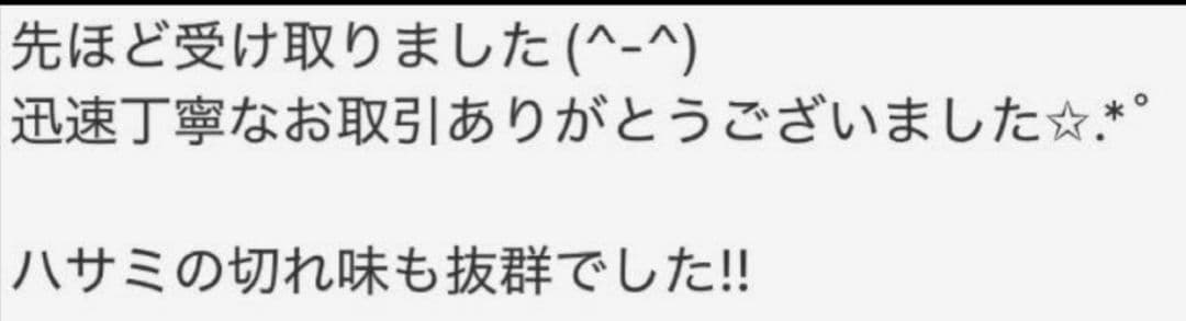切れ味抜群プロ用セニングシザー10%理美容師スキバサミ人気の溝無しすきバサミ