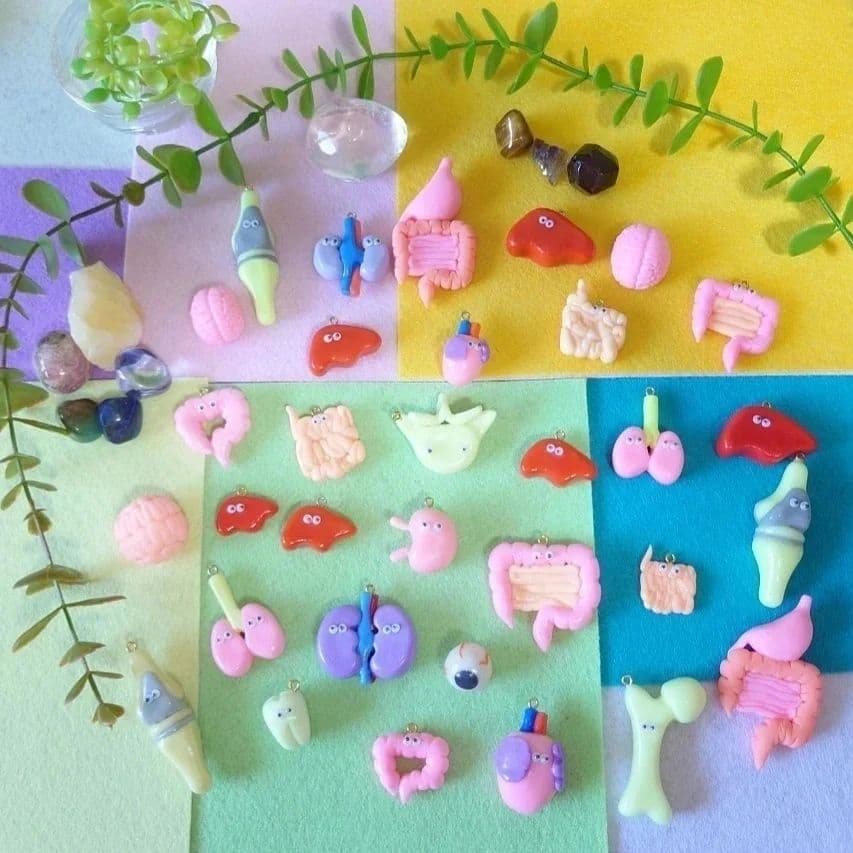 手術室看護師が作る臓器キーホルダー 脳みそ - メルカリ