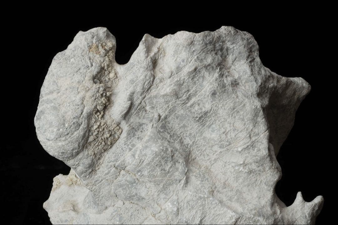 中国 太湖石 木製台座付 5.4kg 鑑賞石 文人石 水石 天然石 盆石 飾石