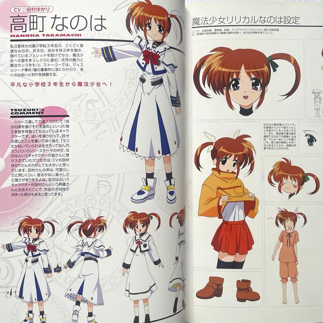 魔法少女リリカルなのは ビジュアルブック/ パンフレット 水樹奈々