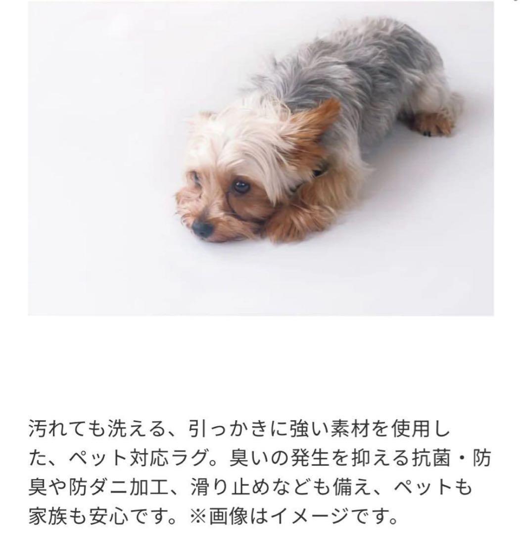 新品 ウニコ ラグ MENGEN(メンゲン) メランジグリーン 200×200 - メルカリ