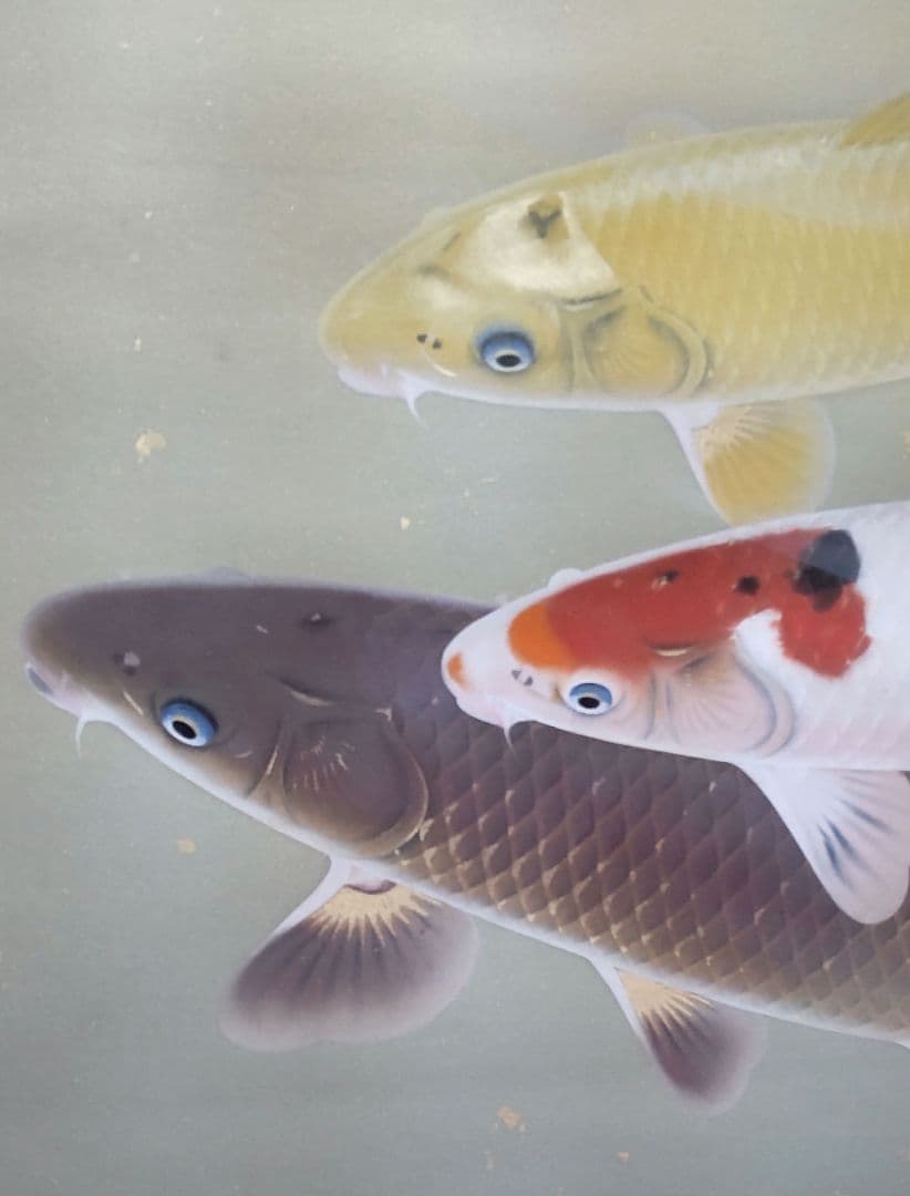 遊鯉」太田龍一 掛軸 太巻き桐箱 二重箱入 - メルカリ