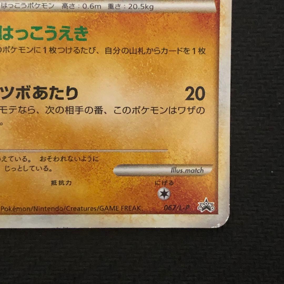 ポケモンカード ツボツボ プロモ 067/L-P はっこうえき - メルカリ