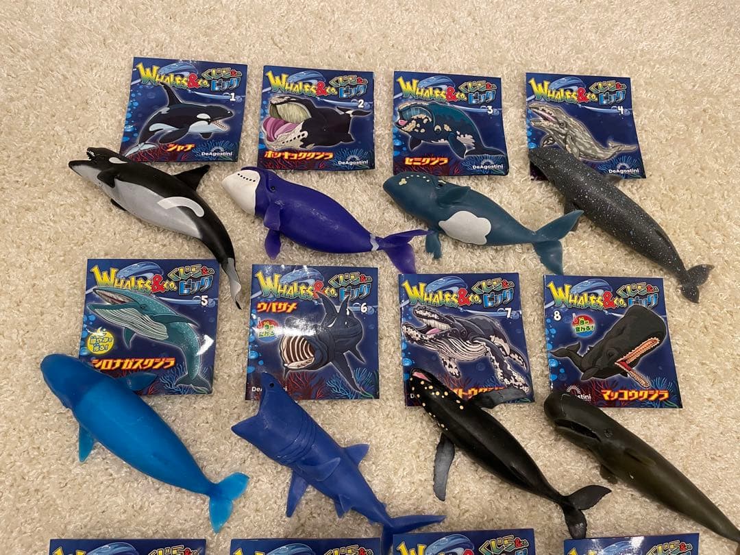 くじら&co.ビッグ 全16種類 コンプリートセット くじらアンドコ - メルカリ