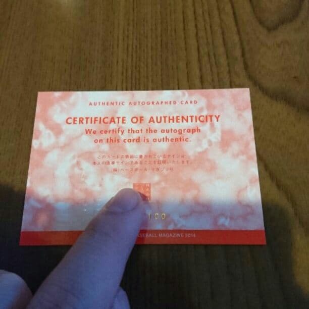 スポーツゲーム(野球盤等) BBM