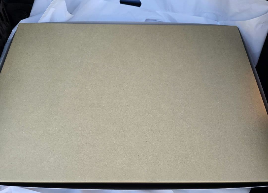 新品未開封 MG 1/100 MSN-04 サザビーVer.ka