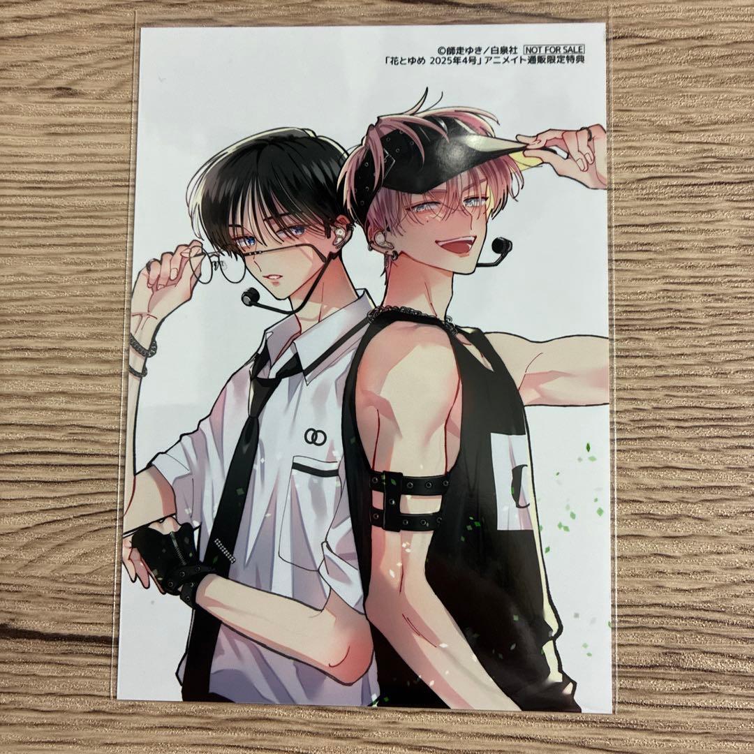 多聞くん今どっち⁉︎ 坂口桜利 福原多聞 花とゆめアニメイト通販特典