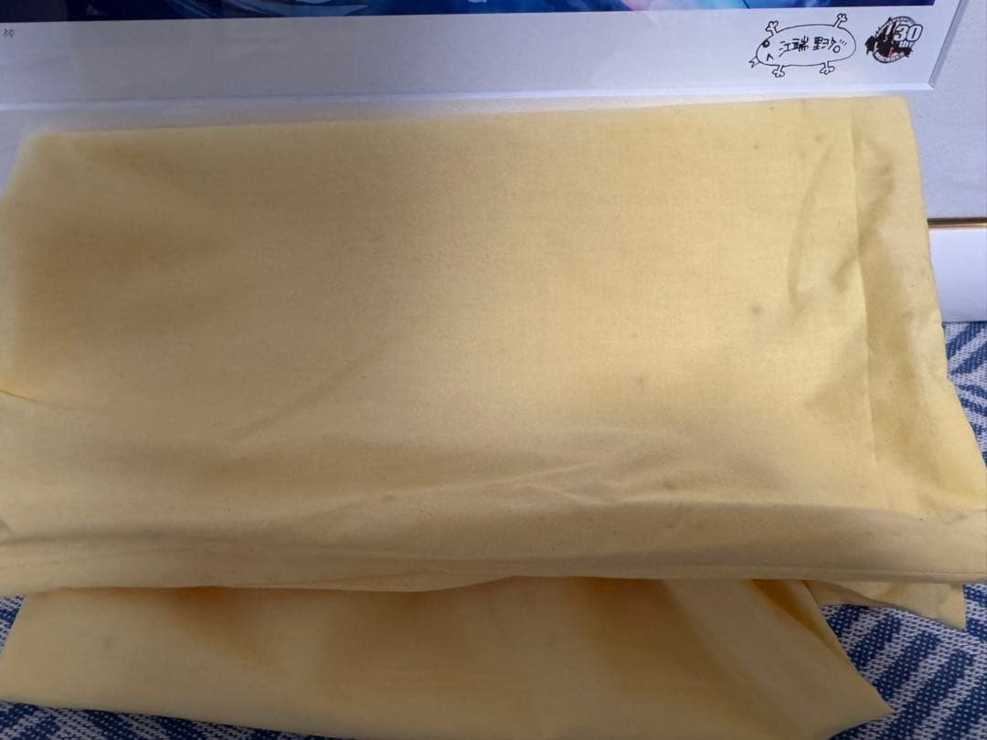 希少】マクロスフロンティア ランカ・リー 版画「虹色クマクマ」江端