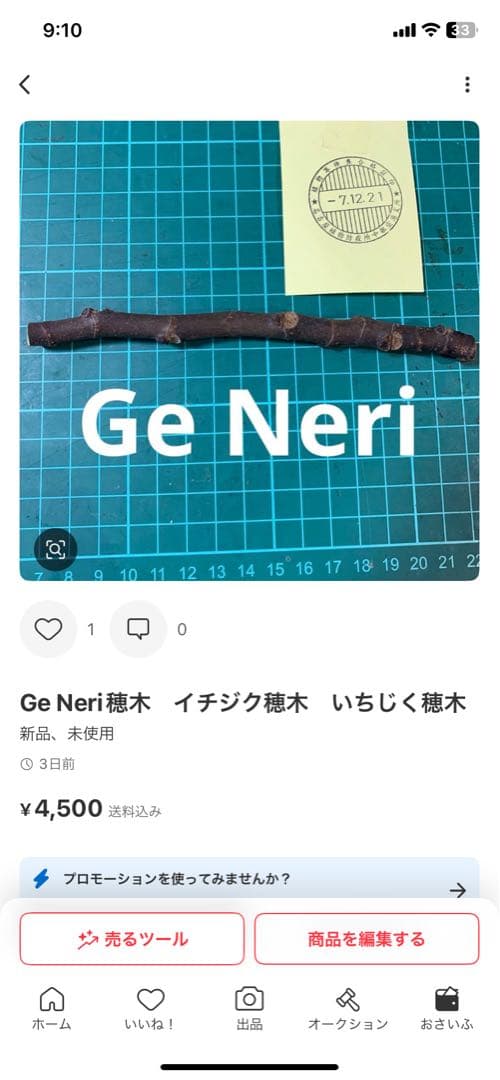 紅葉 Koyo ★の代理人 　White Triana穂木　Ge Neri