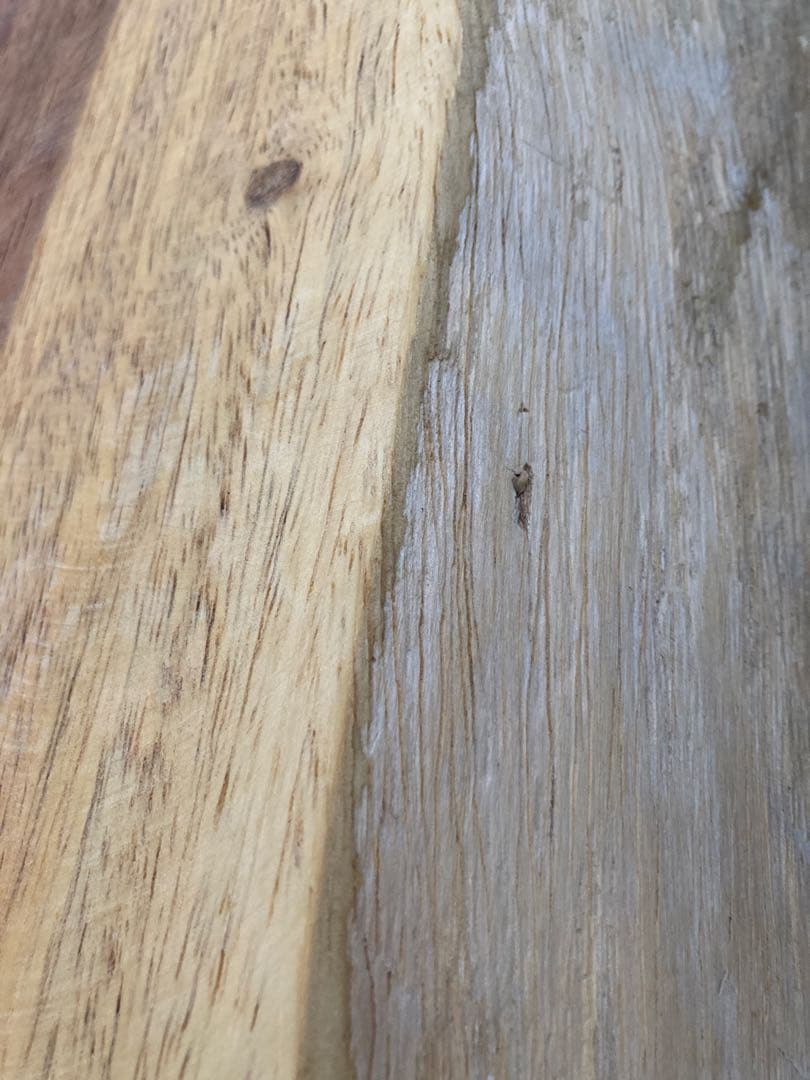 送料込○太いラインが美しいモンキーポッド貴重な一枚板テーブル天板