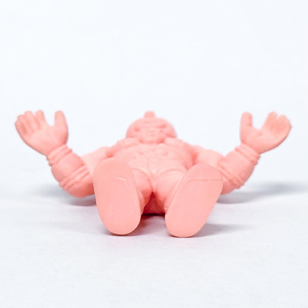 キン消し パート30 キン肉マンスーパーフェニックス（E） (ペール