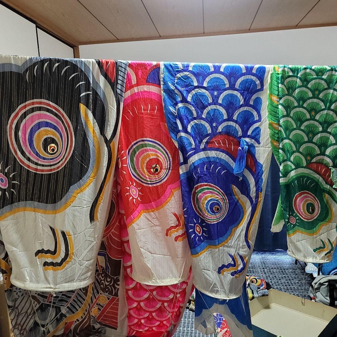 DALYA 鯉のぼり 5m