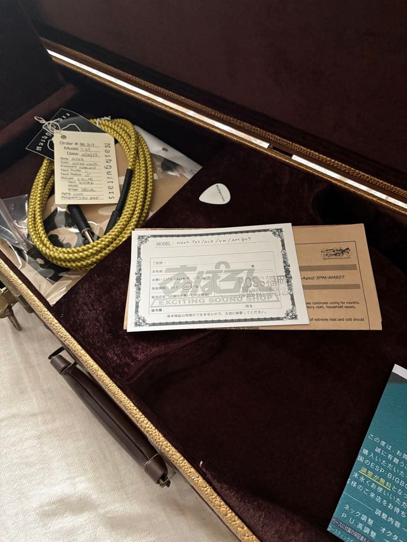 ギター Nash guitars T-63