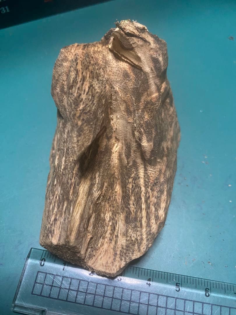 【上品】ベトナム産 天然 シャム 沈梗27.84g 香木 / 沈香 聞香