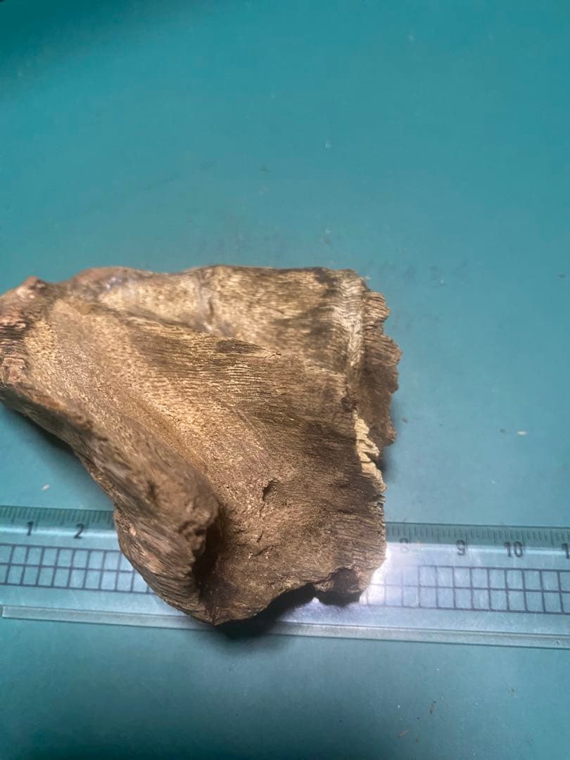 【上品】ベトナム産 天然 シャム 沈梗27.84g 香木 / 沈香 聞香