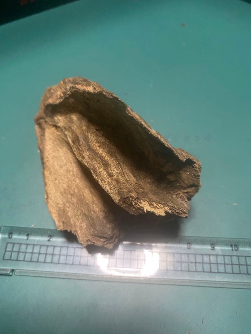 【上品】ベトナム産 天然 シャム 沈梗27.84g 香木 / 沈香 聞香