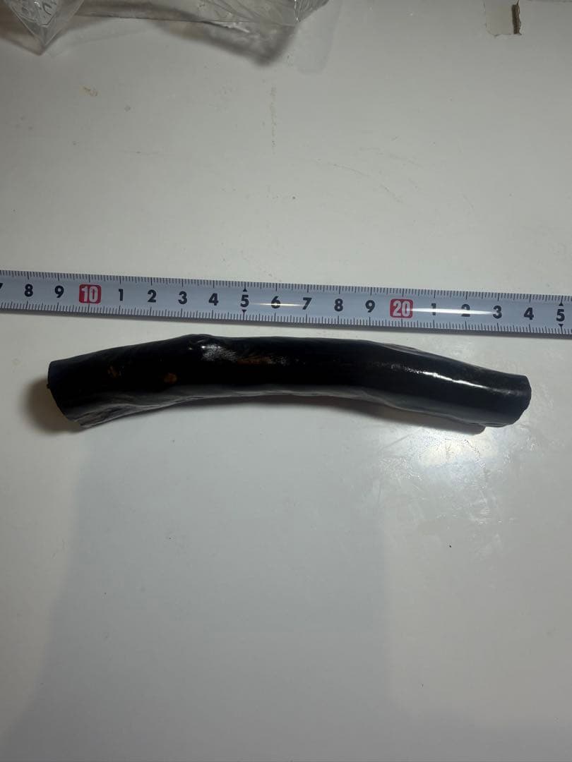 黒珊瑚　深海松　天然素材　送料無料