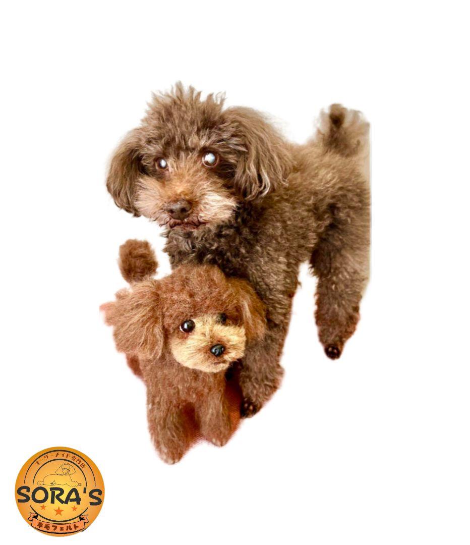 愛犬さんの羊毛フェルトオーダー・わんちゃん・犬・