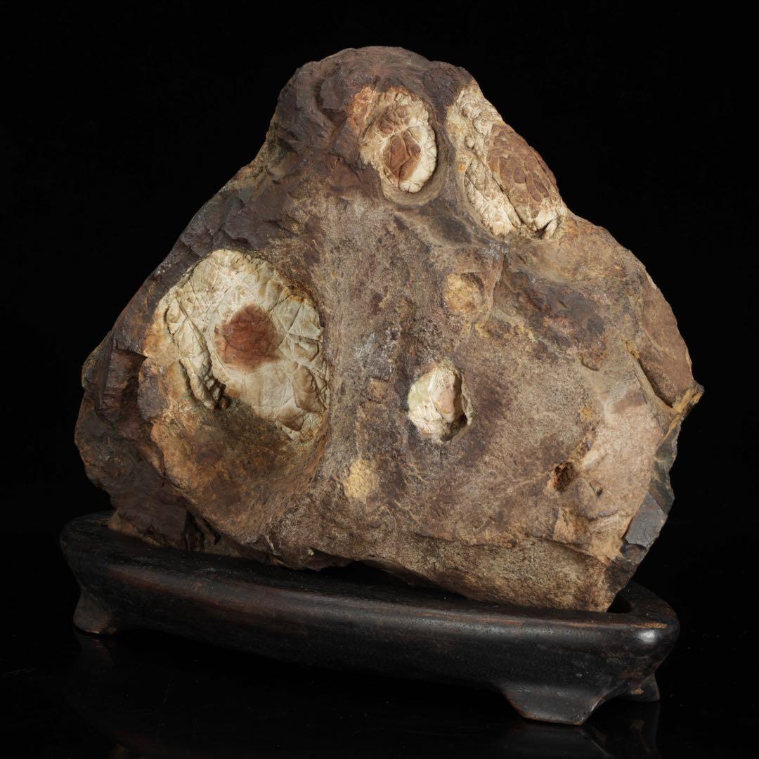 菊花石 花紋石 台座付 3.6kg 鑑賞石 原石 自然石 美石 水石 盆石 飾石