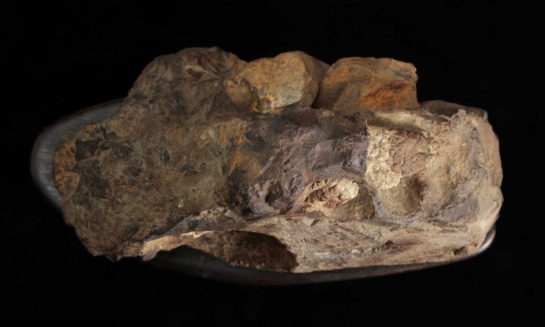 菊花石 花紋石 台座付 3.6kg 鑑賞石 原石 自然石 美石 水石 盆石 飾石