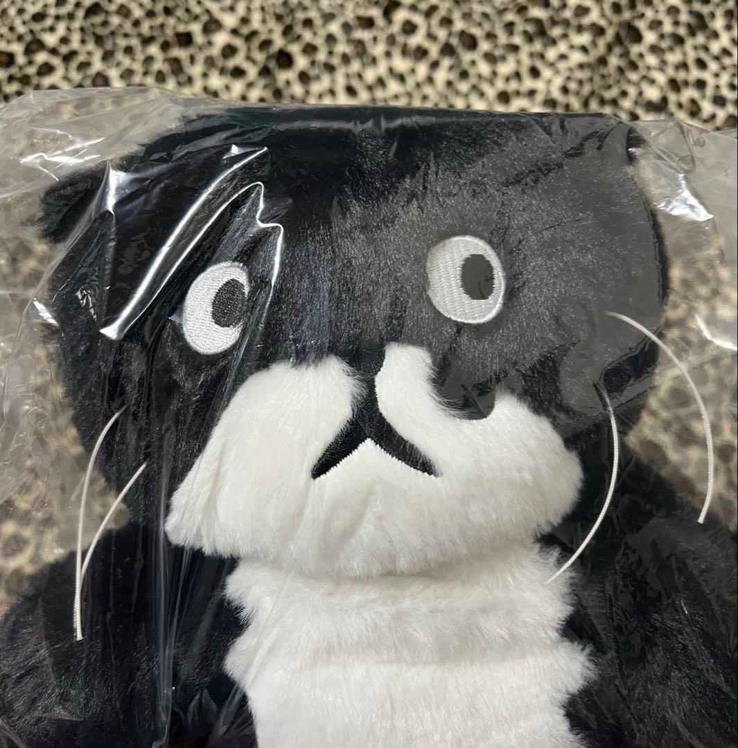値引可アフタヌーンティー チェ・ヨンジュ 猫のモー ぬいぐるみ 新品