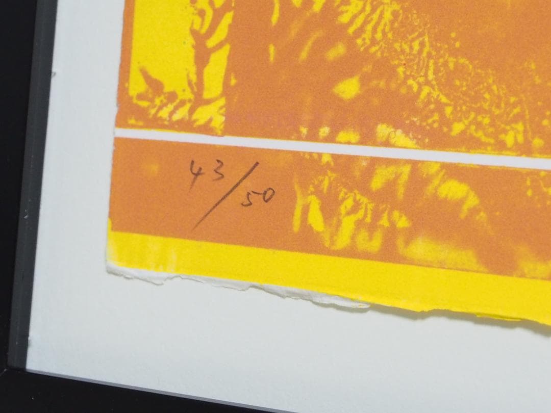 加納光於「ILLUMINATION」イルミネーション◆リトグラフ版画◆サイン額装