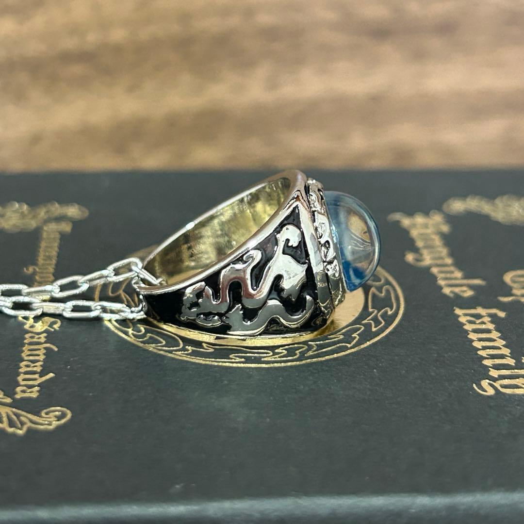 家庭教師ヒットマンREBORN! 大空のリング ボンゴレリング 沢田綱吉 13