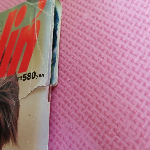 Myojo リルダーリン安室奈美恵、内田有紀雑誌 F102740400