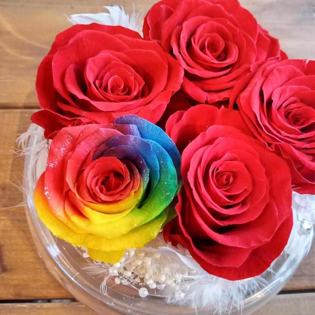 【高級プリザーブドフラワー】レインボーローズ ダイヤモンド赤いバラ ドーム