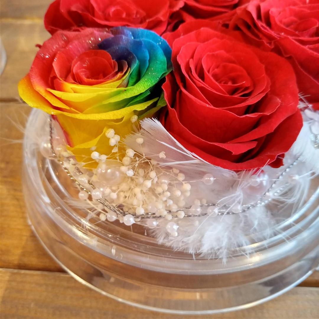 【高級プリザーブドフラワー】レインボーローズ ダイヤモンド赤いバラ ドーム