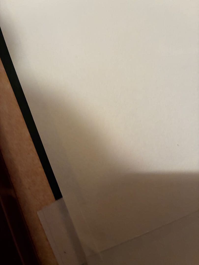 D*d様 【複製画】 【美品】河鍋暁斎 「狂斎百狂　どふけ百万編」大判錦絵三枚続