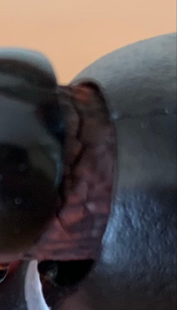 S.H.Figuarts 真骨彫製法 仮面ライダーBLACK