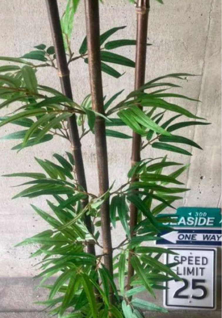 光触媒　人工観葉植物　ウォールグリーン　フェイクグリーン　黒竹@ad