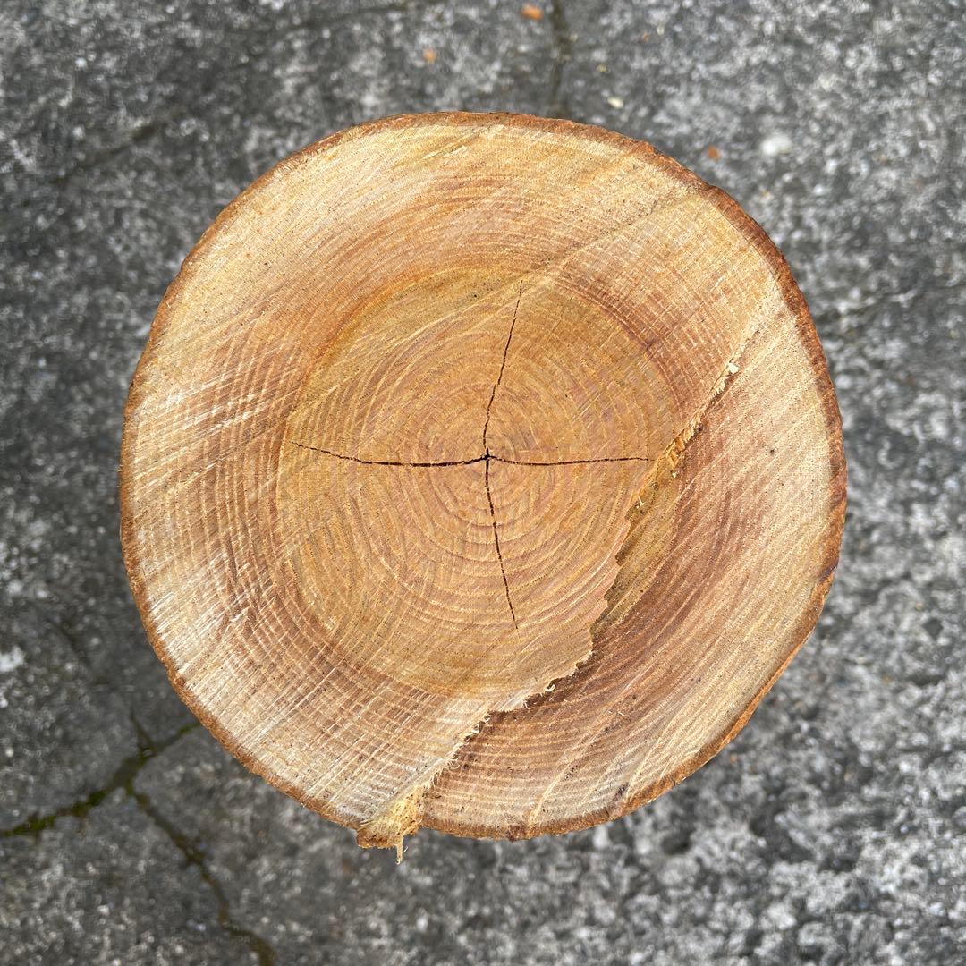 15. 欅 ケヤキ 丸太 長さ約25cm 直径約14㎝ - メルカリ