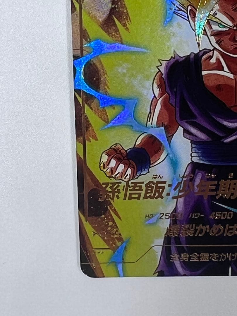 ドラゴンボールバイバース（SDV1）1弾悟飯・少年期 （GDR★/パラレル）5