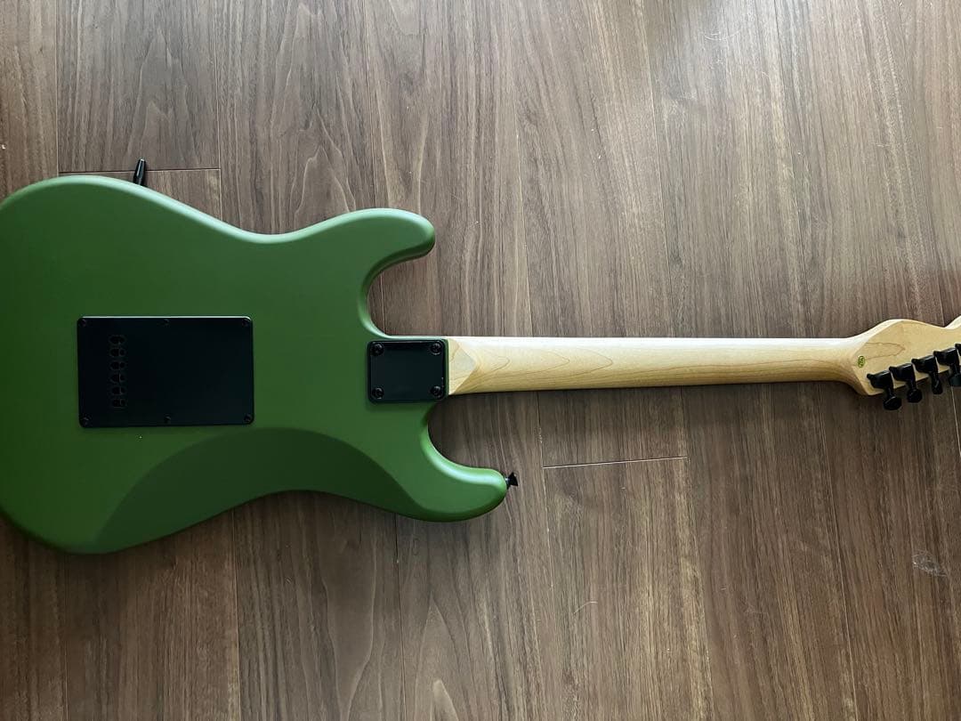 selder　オリーブグリーン エレキギター