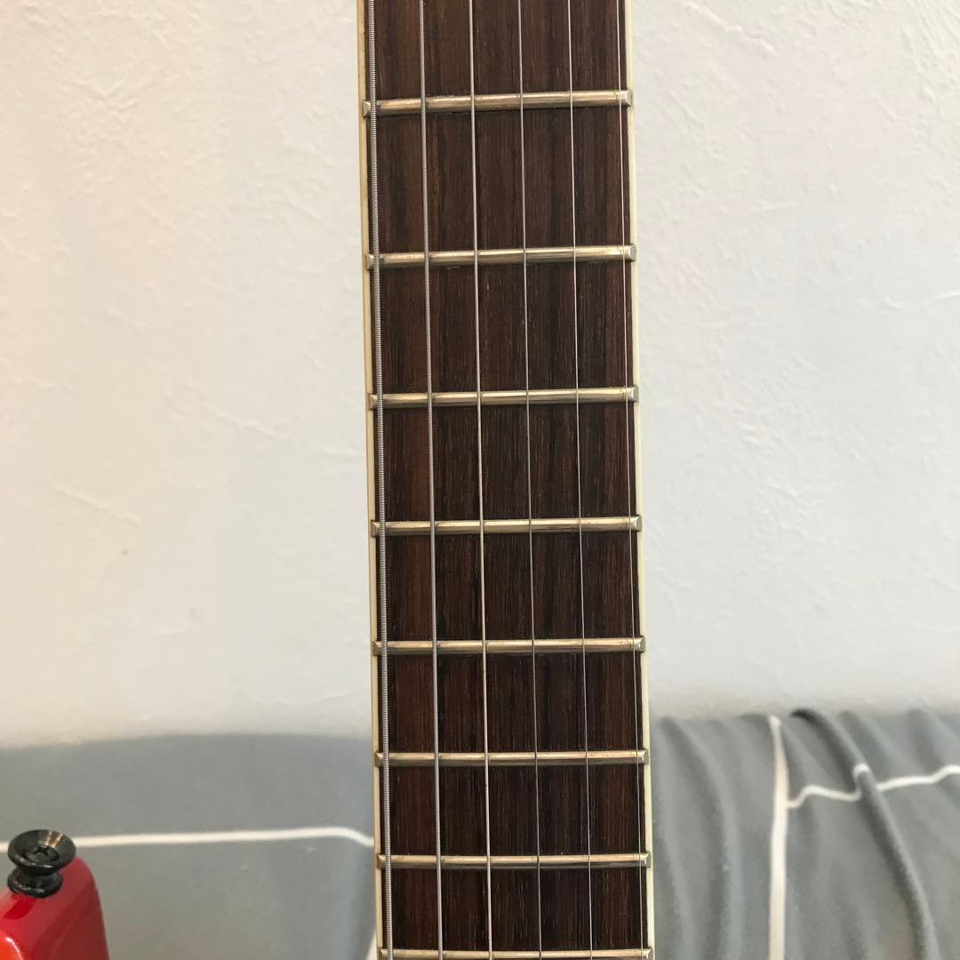 グラスルーツ ルナシー スギゾ