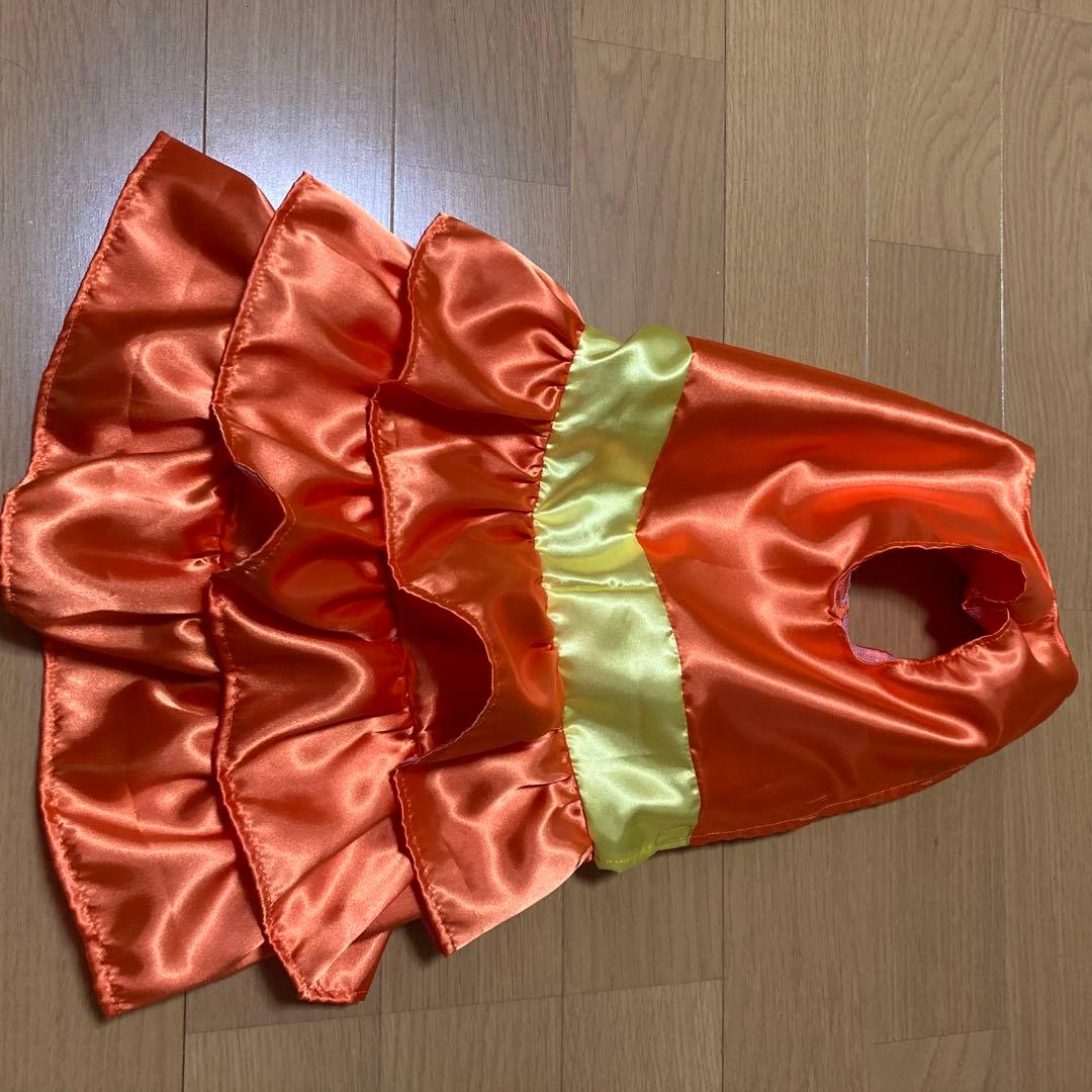 わったちゃんご確認ページ