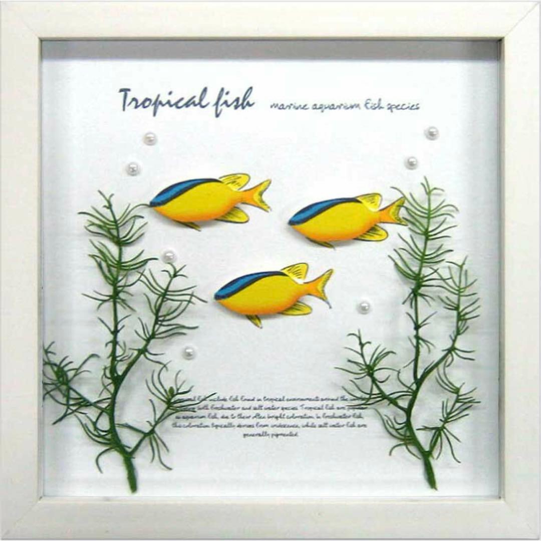 アクアフレーム　4個セット　海、ダイビング、魚、観賞魚、水槽好きの方にインテリア