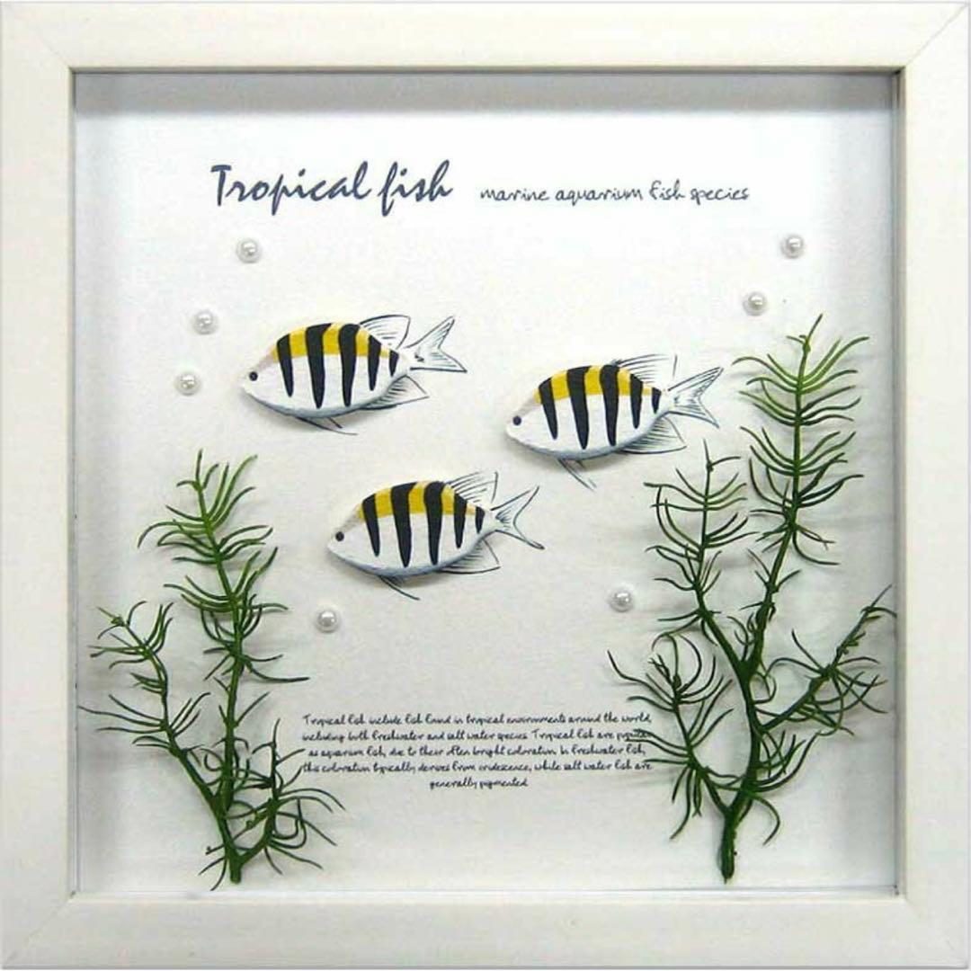 アクアフレーム　4個セット　海、ダイビング、魚、観賞魚、水槽好きの方にインテリア