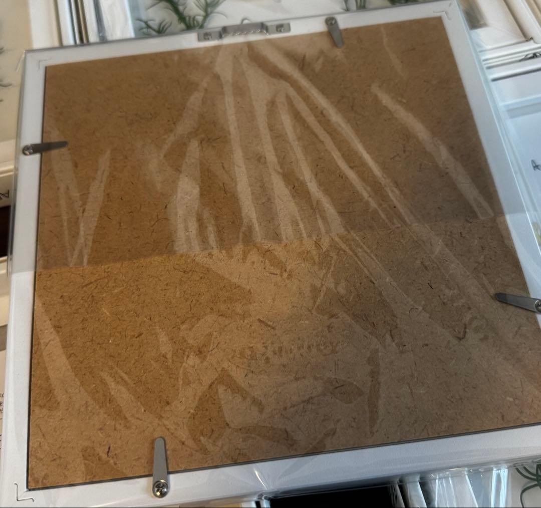 アクアフレーム　4個セット　海、ダイビング、魚、観賞魚、水槽好きの方にインテリア