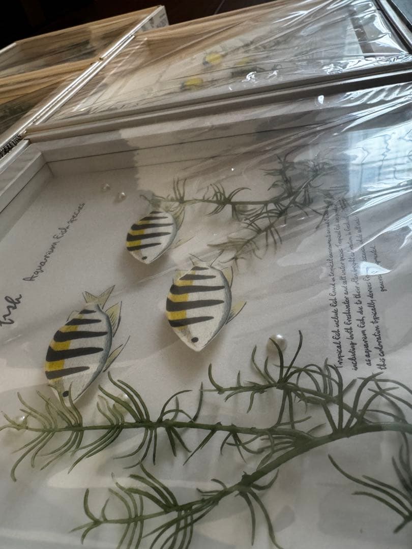 アクアフレーム　4個セット　海、ダイビング、魚、観賞魚、水槽好きの方にインテリア