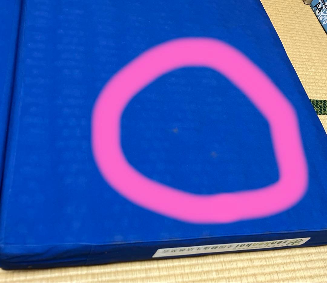 ヘルスウェーブ　施術用　出張用マット