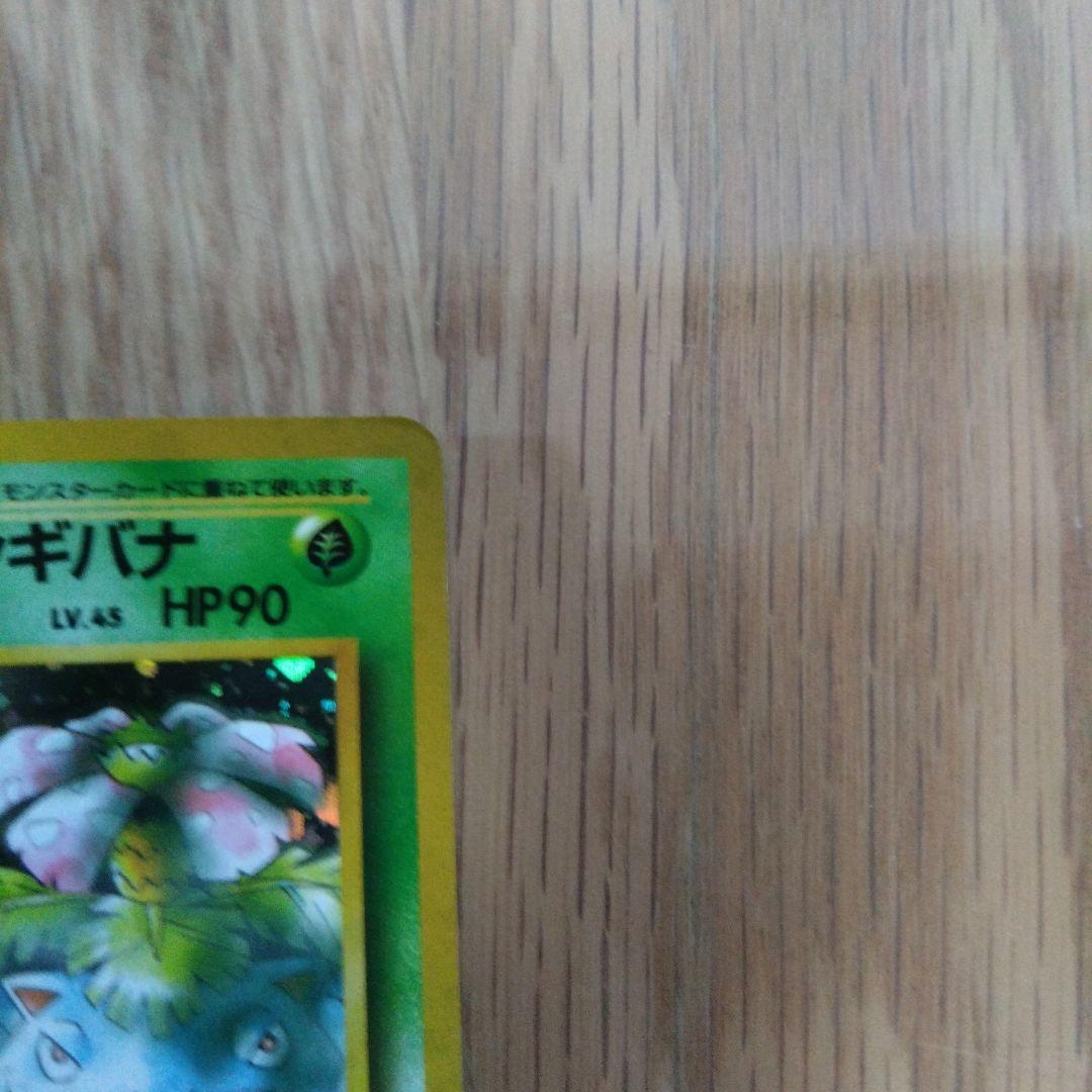 エリカのフシギバナ