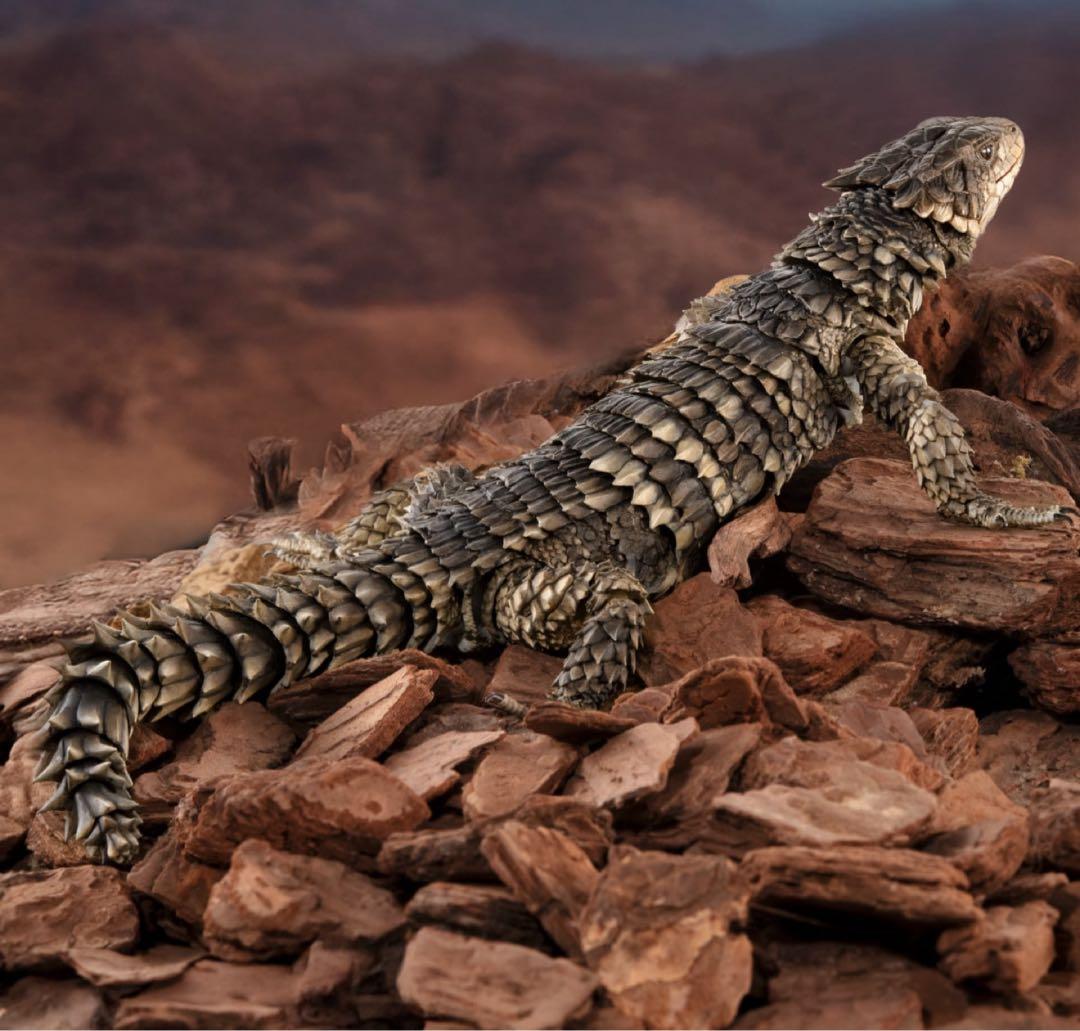 いきもの大図鑑アルティメット オオヨロイトカゲ 新品未開封 ⓵